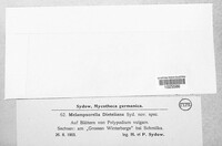 Milesina dieteliana image